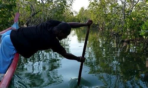 Madagascarul a fost colonizat de 30 de femei ce au călătorit 5 600 km! jpeg