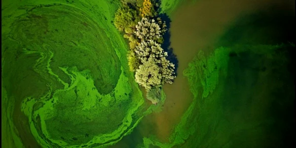 Imagini impresionante ale poluarii surprinse de un fotograf american 