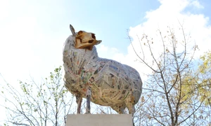 „Trecutul nu se bagă sub preş“ – interviu cu Ioana CIOCAN jpeg