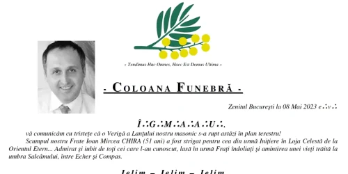 mesaj chira alba webp