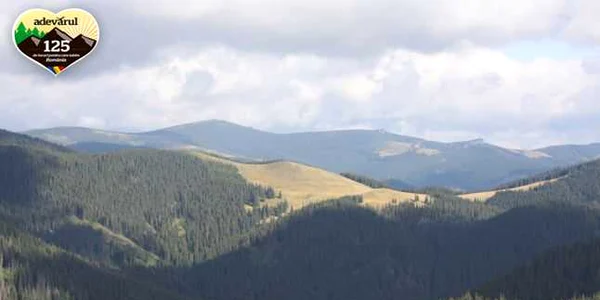 bistrita