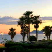 Vallecrosia FB Comune di Vallecrosia jpg