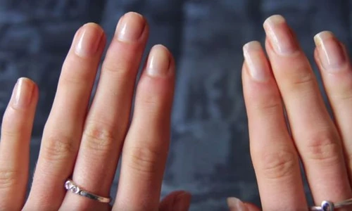 1 84356 original jpg jpeg