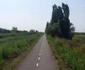 Pista de biciclete de pe digul Begăi FOTO Ştefan Bot