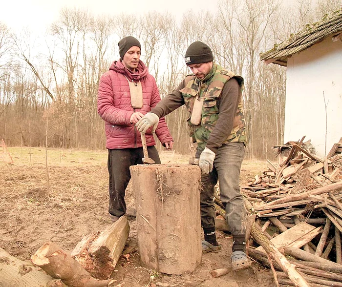 Frații Viziru au trudit cot la cot la fermă, ce-i drept pe bani frumoși