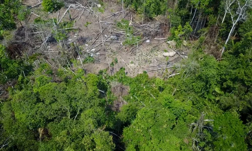 Un trib necunoscut din Amazon, filmat din dronă / VIDEO jpeg