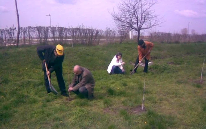 Pesionarii silvici, un exemplu demn de urmat FOTO Adevărul