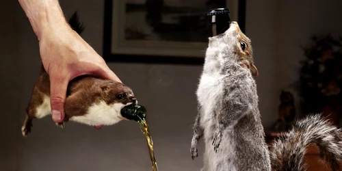 Cele mai scumpe beri din lume The End of History