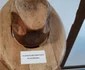 Vechile branduri bănăţene într-o inedită expoziţie