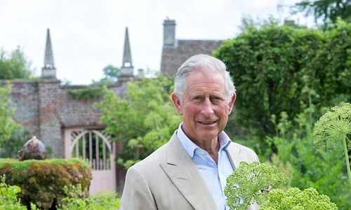 printul charles jpeg