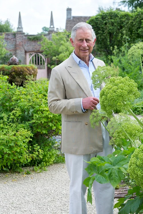 printul charles jpeg