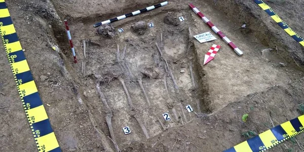 investigatii cricau alba