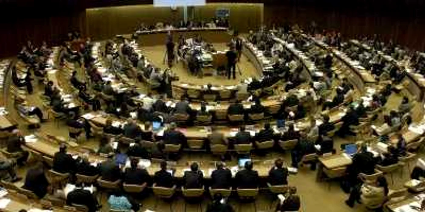 ONU cere ţărilor sărace un "Plan Marshall" pentru climă (France Presse)