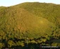Valea Sibișelului din Huneoara Foto Daniel Guță ADEVĂRUL (17) JPG