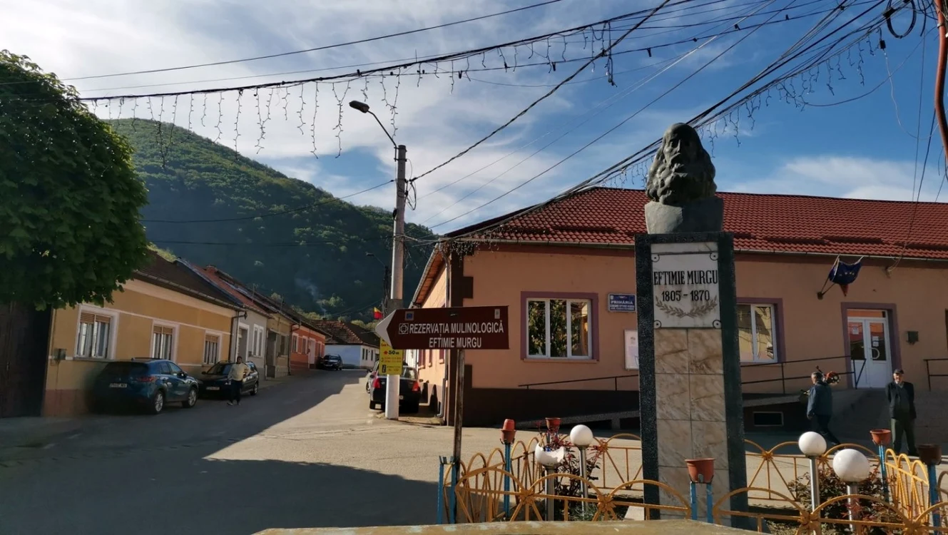 Morile de apă de la Rudăria FOTO Ş.Both