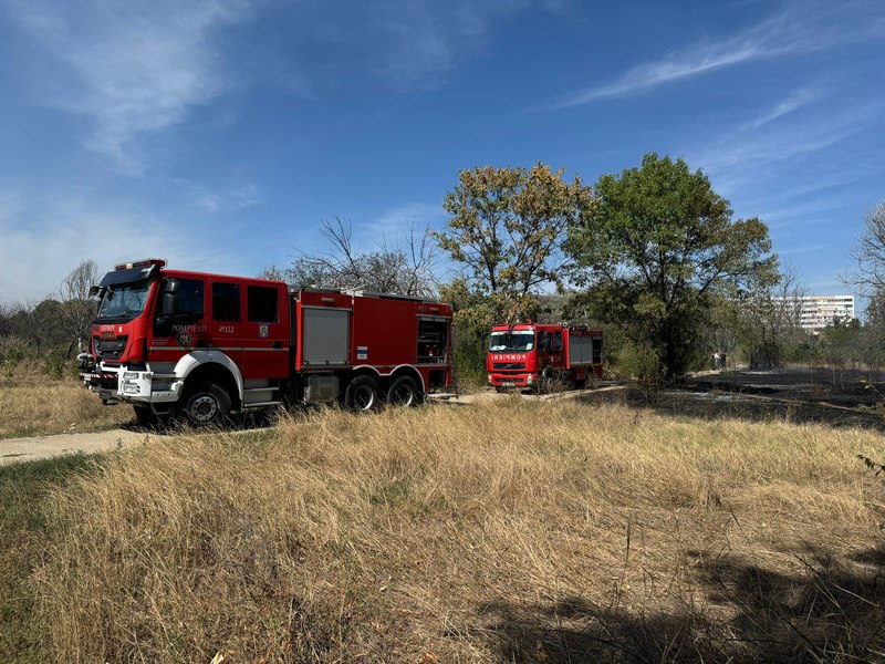 Incendiu puternic în Parcul IOR. Fumul a ajuns până la metrou