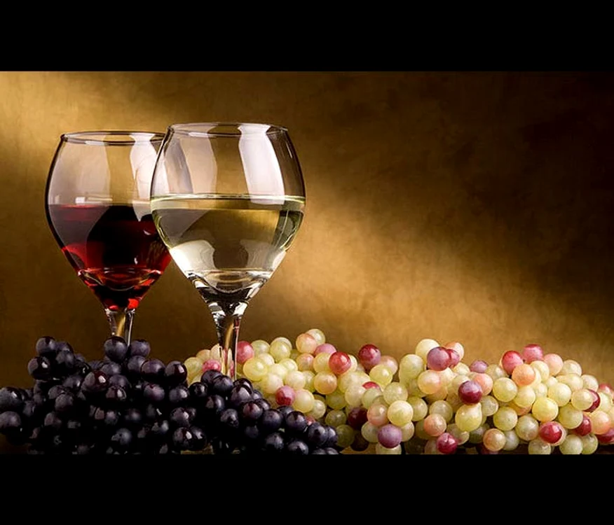 Într o seară am pus buzele pe un pahar de vin alb și am simțit că mor jpeg