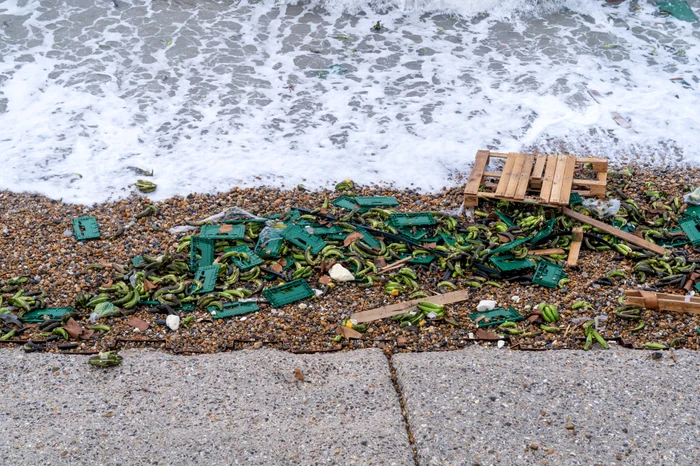 Banane pe o plajă din Marea Britanie FOTO: X