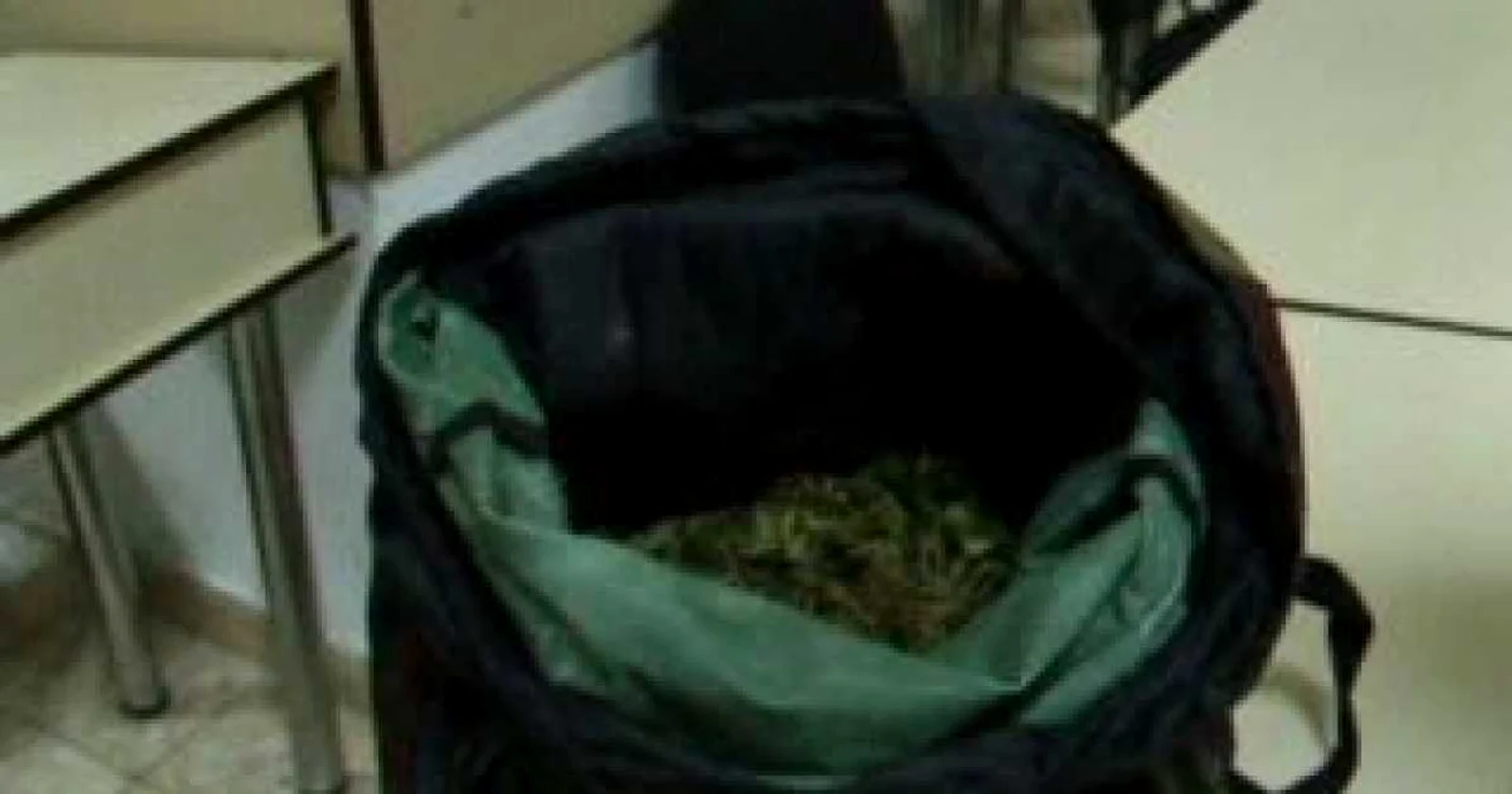 Trei kilograme de produs vegetal despre care se crede că ar fi canabis descoperite la Iaşi