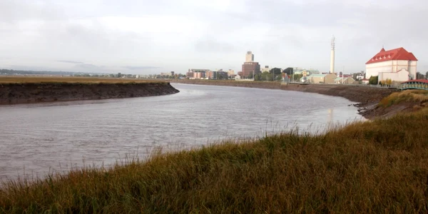Râul Petitcodiac din oraşul Moncton provincia New Brunswick FOTO SHUTTERSTOCK