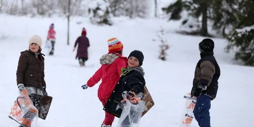 runc foto marius turc