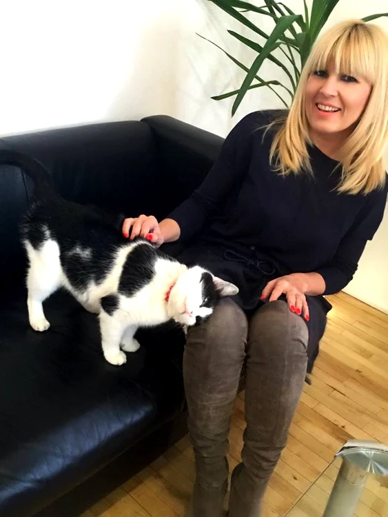 Pisica războinică s-a transformat brusc în pisica lingușitoare