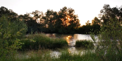 aquae calan baile termale antice foto daniel guta adevarul