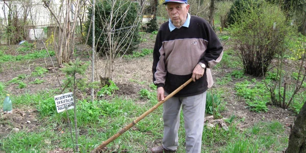 Nicolae Bogdan a adunat în faţa blocului peste 100 de specii exotice