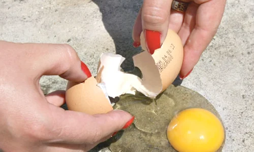 Oul s a «prăjit» pe asfalt în 22 de minute jpeg