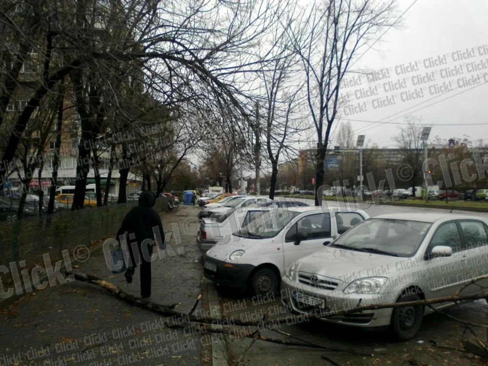 Foto: Adrian Pogingeanu