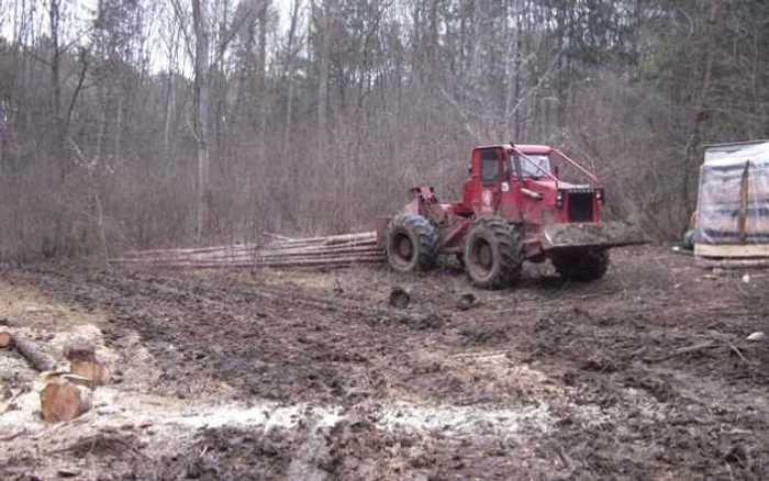Accidentul s-a produs în timp executa lucrări de curăţare a parchetului pădurii FOTO arhivă