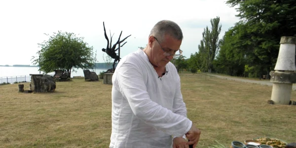 mircea dinescu foto tvr