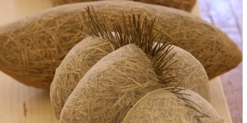 Mariana Gheorghiu vernisează astăzi la Muzeul de Artă