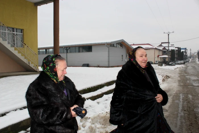 vot tara oasului
