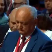 dodon gif gif