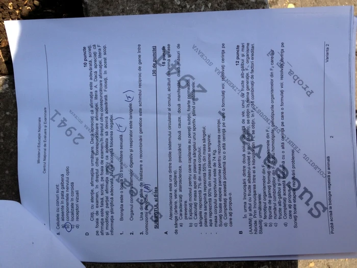 Elevii din Satu Mare au ieşit repede din examene, susţinând că a fost uşor