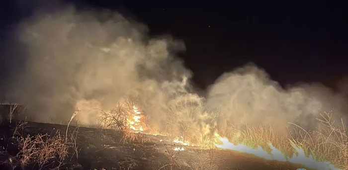 Incendiu de vegetație în comuna Aninoasa. FOTO ISU Dâmbovița
