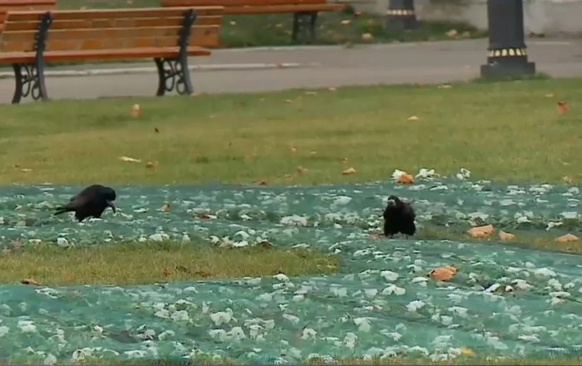 FOTO Captură de ecran/digi24.ro