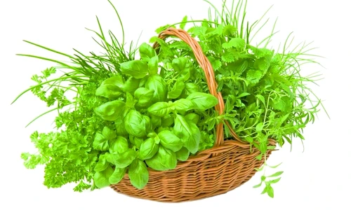 1 46934 original jpg jpeg