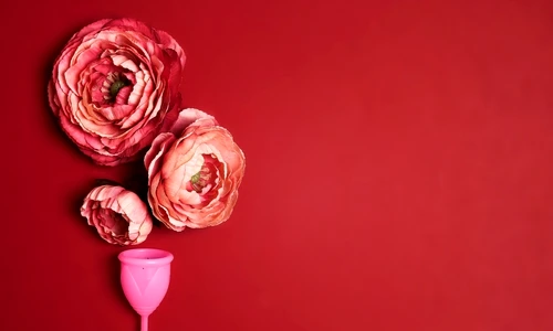 2 shutterstock 2054339741 jpg jpeg