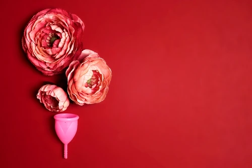 2 shutterstock 2054339741 jpg jpeg