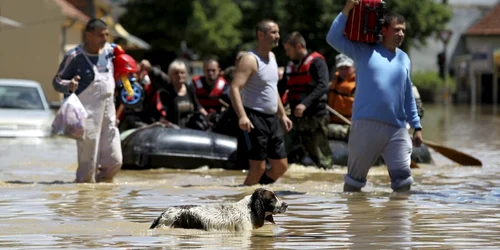 Cetateni si animale sunt evacuati din Obrenovac Serbia FOTO Reuters