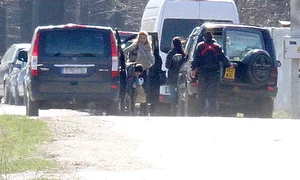 Oricine a vrut  a putut gusta  o felie de tort jpeg