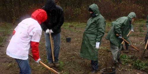 Pompierii vor planta puieți în Comănești.