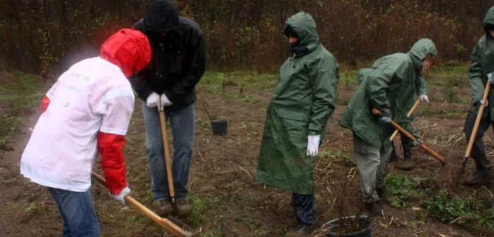 Pompierii vor planta puieți în Comănești.