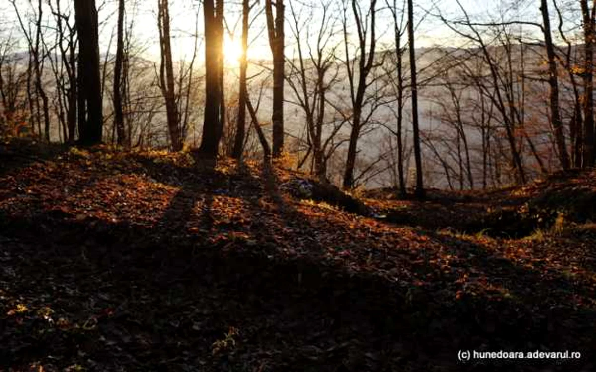cetatea dacica piatra rosie foto adevarul daniel guta