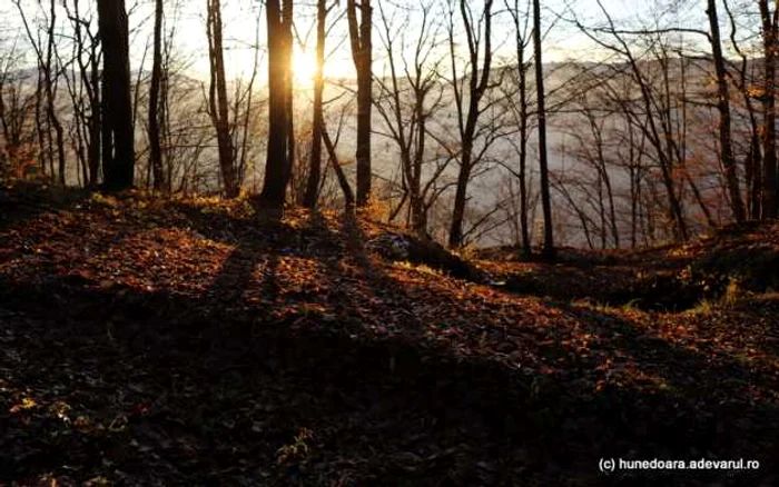 cetatea dacica piatra rosie foto adevarul daniel guta