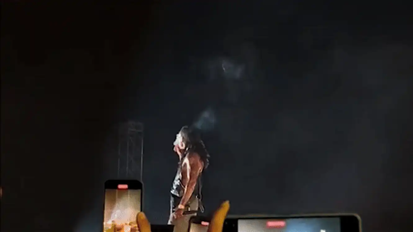wiz gif