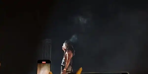 wiz gif