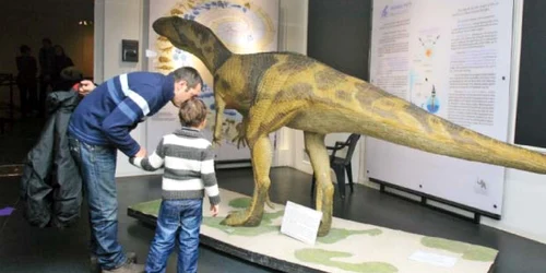 Dinozauri